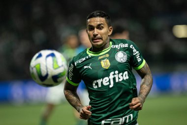 Sao Paulo (SP), 07 / 08 / 2023 - BRAZILEIRO / PALMEIRAS X FLAMENGO - Palmeiras ve Flamengo arasında oynanan maçta Dudu, Brezilya Futbol Şampiyonası 'nın 14.