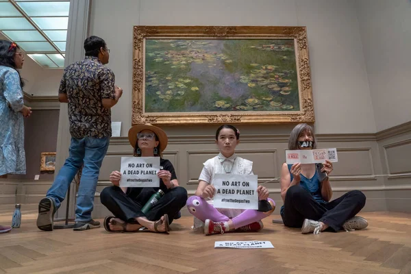 Климатические Активисты Проводят Акцию Протеста Нью Йорке Метрополитен Музей Июля — стоковое фото