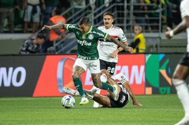 Sao Paulo, Brezilya - 07 / 13 / 2023 - COPA DO BRASIL / PALMEIRAS X SAO PAULO - Allianz Parque 'da düzenlenen Copa do Brasil çeyrek finalinin ikinci ayağı için geçerli olan Palmeiras ve Sao Paulo arasında oynanan maçta attı