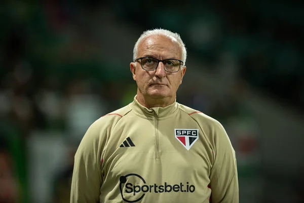 Сан Паулу 2023 Copa Brasil Palmeiras Sao Paulo Тренер Дориваль — стоковое фото