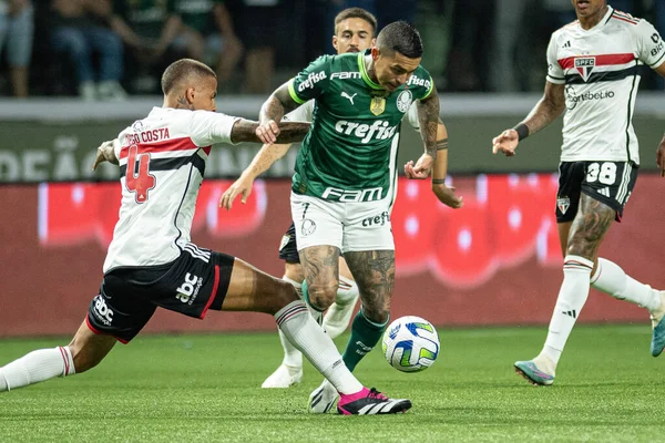 Sao Paulo Brezilya 2023 Copa Brasil Palmeiras Sao Paulo Allianz — Stok fotoğraf