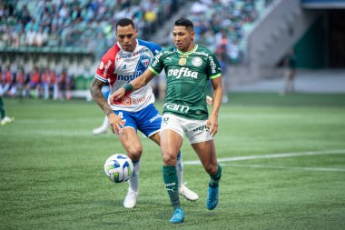 Sao Paulo (SP), Brezilya 07 / 22 / 2023 - Bu cumartesi öğleden sonra Sao Paulo 'nun batı bölgesindeki Allianz Parque' da düzenlenen 2023 Brezilya Futbol Şampiyonası 'nın 16.