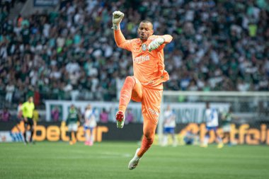 Sao Paulo (SP), Brezilya 07 / 22 / 2023 - Weverton, Palmeiras ve Fortaleza arasında oynanan 2023 Brezilya Futbol Şampiyonası 'nın 16. turu için geçerli olan maçta Raphael Veiga' nın golünü kutluyor.
