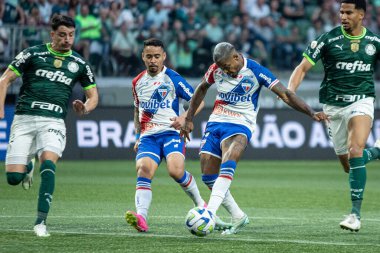 Sao Paulo (SP), Brezilya 07 / 22 / 2023 - Sao Paulo 'nun batı bölgesindeki Allianz Parque' da düzenlenen 2023 Brezilya Futbol Şampiyonası 'nın 16. turu için geçerli olan Palmeiras ve Fortaleza arasında oynanan maçta Marinho