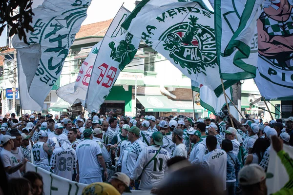 Torcedores Palmeiras Protestam Durante Campeonato Brasileiro Futebol Julho 2023 São — Fotografia de Stock