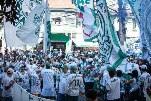 Les Fans Palmeiras Protestent Pendant Championnat Brésilien Football Juillet 2023 — Photo