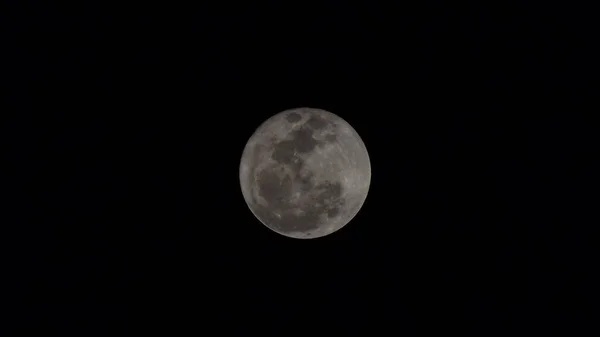 里约热内卢看到的超级月亮 2023年8月1日 美国纽约 星期三 2002年8月2日 黎明时分 在里约热内卢Rocha Miranda社区看到超级月亮 — 图库照片