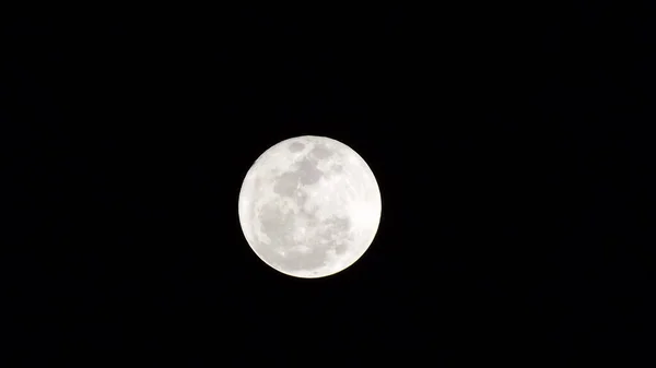 里约热内卢看到的超级月亮 2023年8月1日 美国纽约 星期三 2002年8月2日 黎明时分 在里约热内卢Rocha Miranda社区看到超级月亮 — 图库照片