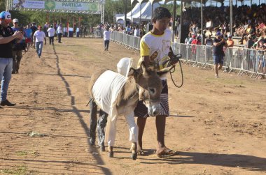 (Sao Goncalo do Amarante 'deki eşek yarışı. 5 Ağustos 2023, Sao Goncalo do Amarante, Rio Grande do Norte, Brezilya: Sao Goncalo do Amarante şehri tarım fuarı AGRO SACALO 