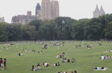 New Yorklular Central Park Büyük Çim. 05 Ağustos 2023, New York, ABD: Central Park Great Lawn güneşli bir Cumartesi günü New Yorklular ve diğerleriyle doluyken büyük havanın keyfini çıkarırken, piknik yaparken, spor yaparken görülüyor