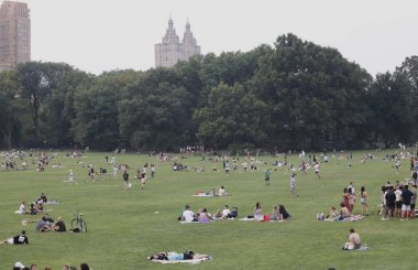 New Yorklular Central Park Büyük Çim. 05 Ağustos 2023, New York, ABD: Central Park Great Lawn güneşli bir Cumartesi günü New Yorklular ve diğerleriyle doluyken büyük havanın keyfini çıkarırken, piknik yaparken, spor yaparken görülüyor