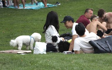 New Yorklular Central Park Büyük Çim. 05 Ağustos 2023, New York, ABD: Central Park Great Lawn güneşli bir Cumartesi günü New Yorklular ve diğerleriyle doluyken büyük havanın keyfini çıkarırken, piknik yaparken, spor yaparken görülüyor