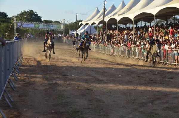 Int Donkey Race Sao Goncalo Amarante August 2023 Sao Goncalo — Stock Photo, Image