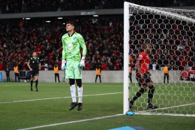 CURITIBA (PR) Brazil 08 / 08 / 2023 - Fernandinho (Athletico PR) golünü atıyor ve Athletico PR ile Bolivar arasında oynanan ikinci turda Copa Libertadores 2023 'ün 16. Raundunda geçerli olan penaltı golünü kutluyor 