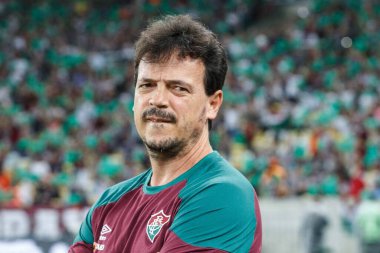 Rio de Janeiro (RJ), Brezilya 08 / 08 / 2023 - Fernado Diniz Tecnico do Fluminense - Fluminense x Argentinos Juniors arasındaki maç, Libertadores da America 2023 için geçerli, Mario Stadyumu 'nda düzenlendi.