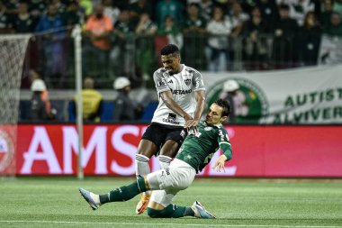Sao Paulo (SP), Brezilya 08 / 09 / 2023 - Allianz Parque 'da düzenlenen Copa Conmebol Libertadores 2023 turunun ikinci ayağı için geçerli olan Palmeiras ve Atletico-MG arasında bir maç düzenleyin
