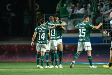 Sao Paulo (SP), Brezilya 08 / 09 / 2023 - Palmeiras oyuncuları, Copa Conmebol Libertadores 2023 'ün ikinci ayağı için geçerli olan Palmeiras ve Atletico-MG arasındaki maçta sıralamayı kutladılar