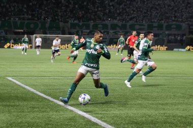 Sao Paulo (SP), Brezilya 08 / 14 / 2023 - Palmeiras ve Cruzeiro arasında oynanan ve Sao Paulo 'nun batı bölgesindeki Allianz Parque' da düzenlenen 2023 Brezilya Futbol Şampiyonası 'nın 19.