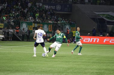 Sao Paulo (SP), Brezilya 08 / 14 / 2023 - Palmeiras ve Cruzeiro arasındaki maç, Sao Paulo 'nun batı bölgesindeki Allianz Parque' da düzenlenen 2023 Brezilya Futbol Şampiyonası 'nın 19. 