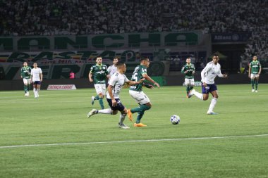 Sao Paulo (SP), Brezilya 08 / 14 / 2023 - Palmeiras ve Cruzeiro arasındaki maç, Sao Paulo 'nun batı bölgesindeki Allianz Parque' da düzenlenen 2023 Brezilya Futbol Şampiyonası 'nın 19. 