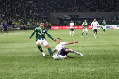 Sao Paulo (SP), Brezilya 08 / 14 / 2023 - Palmeiras ve Cruzeiro arasındaki maç, Sao Paulo 'nun batı bölgesindeki Allianz Parque' da düzenlenen 2023 Brezilya Futbol Şampiyonası 'nın 19. 