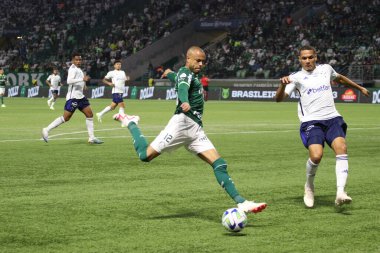 Sao Paulo (SP), Brezilya 08 / 14 / 2023 - Palmeiras ve Cruzeiro arasındaki maç, Sao Paulo 'nun batı bölgesindeki Allianz Parque' da düzenlenen 2023 Brezilya Futbol Şampiyonası 'nın 19. 
