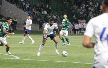 Sao Paulo (SP), Brezilya 08 / 14 / 2023 - Palmeiras ve Cruzeiro arasındaki maç, Sao Paulo 'nun batı bölgesindeki Allianz Parque' da düzenlenen 2023 Brezilya Futbol Şampiyonası 'nın 19. 