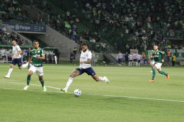 Sao Paulo (SP), Brezilya 08 / 14 / 2023 - Palmeiras ve Cruzeiro arasındaki maç, Sao Paulo 'nun batı bölgesindeki Allianz Parque' da düzenlenen 2023 Brezilya Futbol Şampiyonası 'nın 19. 