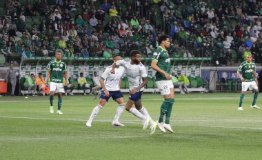 Sao Paulo (SP), Brezilya 08 / 14 / 2023 - Palmeiras ve Cruzeiro arasındaki maç, Sao Paulo 'nun batı bölgesindeki Allianz Parque' da düzenlenen 2023 Brezilya Futbol Şampiyonası 'nın 19. 
