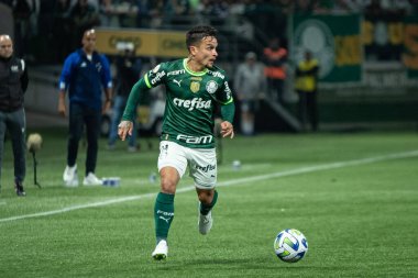 Sao Paulo (SP), Brezilya 08 / 14 / 2023 - Palmeiras ve Cruzeiro arasında oynanan ve 2023 Brezilya Futbol Şampiyonası 'nın 19. turu için geçerli olan maçta Sao Paulo' nun batı bölgesindeki Allianz Parque 'da gerçekleştirildi.