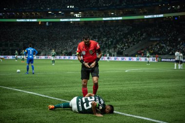 Sao Paulo (SP), Brezilya 08 / 14 / 2023 - Palmeiras ve Cruzeiro arasındaki maç, Sao Paulo 'nun batı bölgesindeki Allianz Parque' da düzenlenen 2023 Brezilya Futbol Şampiyonası 'nın 19. 