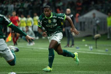Sao Paulo (SP), Brezilya 08 / 14 / 2023 - Palmeiras 'tan Endrick, Palmeiras ve Cruzeiro arasında oynanan 2023 Brezilya Futbol Şampiyonası' nın 19.