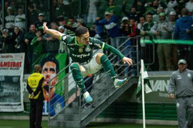 Sao Paulo (SP), Brezilya 08 / 14 / 2023 - Raphael Veiga, Palmeiras ve Cruzeiro arasında oynanan 2023 Brezilya Futbol Şampiyonası 'nın 19.