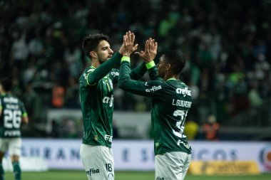 Sao Paulo (SP), Brezilya 08 / 14 / 2023 - Palmeiras ve Cruzeiro arasındaki maç, Sao Paulo 'nun batı bölgesindeki Allianz Parque' da düzenlenen 2023 Brezilya Futbol Şampiyonası 'nın 19. 