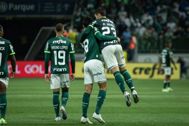Sao Paulo (SP), Brezilya 08 / 14 / 2023 - Palmeiras ve Cruzeiro arasındaki maç, Sao Paulo 'nun batı bölgesindeki Allianz Parque' da düzenlenen 2023 Brezilya Futbol Şampiyonası 'nın 19. 