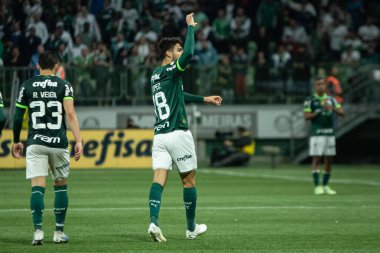 Sao Paulo (SP), Brezilya 08 / 14 / 2023 - Palmeiras ve Cruzeiro arasındaki maç, Sao Paulo 'nun batı bölgesindeki Allianz Parque' da düzenlenen 2023 Brezilya Futbol Şampiyonası 'nın 19. 