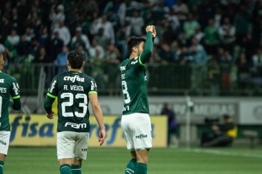 Sao Paulo (SP), Brezilya 08 / 14 / 2023 - Palmeiras ve Cruzeiro arasındaki maç, Sao Paulo 'nun batı bölgesindeki Allianz Parque' da düzenlenen 2023 Brezilya Futbol Şampiyonası 'nın 19. 