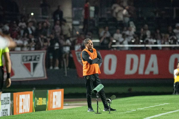 Sao Paulo Brazilië 2023 Coach Vanderlei Luxemburgo Een Wedstrijd Tussen — Stockfoto