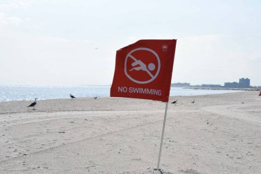 (Queens New York ve Long Island 'da köpekbalığı görülmüş, 15 Ağustos 2023 New York, ABD: 8 Ağustos 2023' te Queens 'te Rockaway Sahili' nde yüzerken 65 yaşındaki bir kadın bir köpekbalığı tarafından saldırıya uğramış.