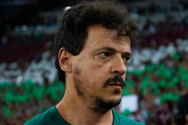 Rio Janeiro Brasil Agosto 2023 Entrenador Fluminense Fernando Diniz Durante —  Fotos de Stock