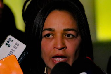 Brasilia (DF), Brezilya 08 / 29 / 2023 - POLITICA / CPMI / JANUARY 8 - 8 Ocak 2023 tarihli Ortak Parlamento Soruşturma Komisyonu Raportörünün Sorgusu, 15. Toplantı, Cumhuriyet Senatörü Eliziane Gama (PSD-MA)) 