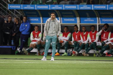 Sao Paulo (SP), Brezilya 08 / 30 / 2023 - Copa Conmebol Libertadores 2023 çeyrek finalinin ikinci ayağı için geçerli olan Palmeiras x Deportivo Pereira (COL) maçında Koç Abel Ferreira do Palmeirasv 