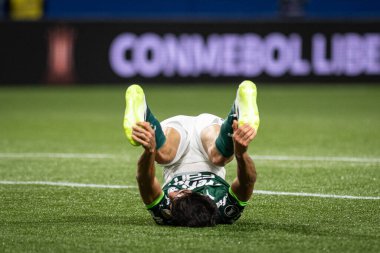 Sao Paulo (SP), Brezilya 08 / 30 / 2023 - Flacco Lopez, Allianz Parque Libertadores 2023 'te düzenlenen Copa Conmebol Libertadores 2023 çeyrek finallerinin ikinci ayağı için geçerli olan Palmeiras x Deportivo Pereira (COL) arasında oynanan karşılaşmada