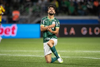 Sao Paulo (SP), Brezilya 08 / 30 / 2023 - Flacco Lopez, Allianz Parque Libertadores 2023 'te düzenlenen Copa Conmebol Libertadores 2023 çeyrek finallerinin ikinci ayağı için geçerli olan Palmeiras x Deportivo Pereira (COL) arasında oynanan karşılaşmada