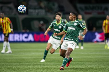 Sao Paulo (SP), Brezilya 08 / 30 / 2023 - Endrick, Copa Conmebol Libertadores 2023 Copa Conmebol Libertadores 2023 çeyrek finallerinin ikinci ayağı için geçerli olan Palmeiras x Deportivo Pereira (COL) arasında oynanan karşılaşmada 