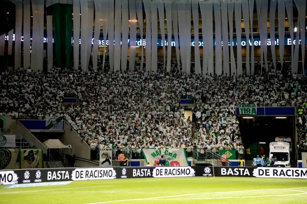 Sao Paulo Brazylia 2023 Fani Podczas Meczu Pomiędzy Palmeiras Deportivo — Zdjęcie stockowe
