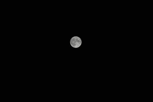 超级蓝月亮 2023年8月30日布朗克斯 今晚的天坛杰作 超级月亮照亮了布朗克斯上空的天空 闪耀着比往常更明亮的光芒 — 图库照片