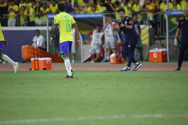 在2026年世界杯资格赛的第一轮比赛中 巴西队的罗德里戈在巴西和玻利维亚的比赛中进球庆祝他的进球 — 图库照片