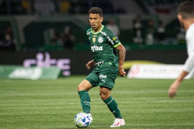 Sao Paulo (SP), 15 Eylül 2023 - Brasileiro - Palmeiras maçı Sao Paulo 'nun batısındaki No Allianz Parque' da düzenlendi. 