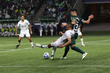 Sao Paulo (SP), 15 Eylül 2023 - Brasileiro - Palmeiras maçı Sao Paulo 'nun batısındaki No Allianz Parque' da düzenlendi. 